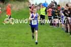 Boys and Girls under-15s, Farringdon Cross Country Relays, Sunderland.  Photo: David T. Hewitson/Sports for All Pics
